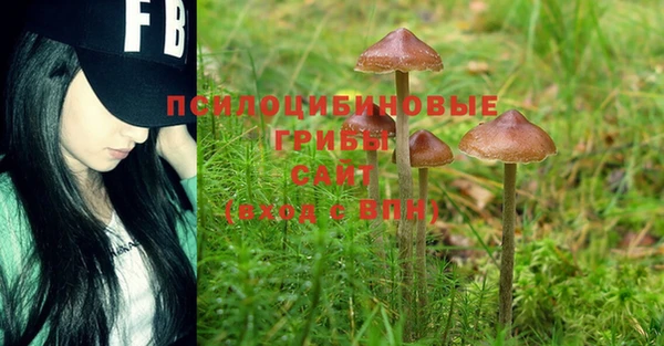 MDMA Покачи