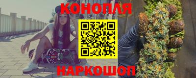 прущие грибы Волгодонск