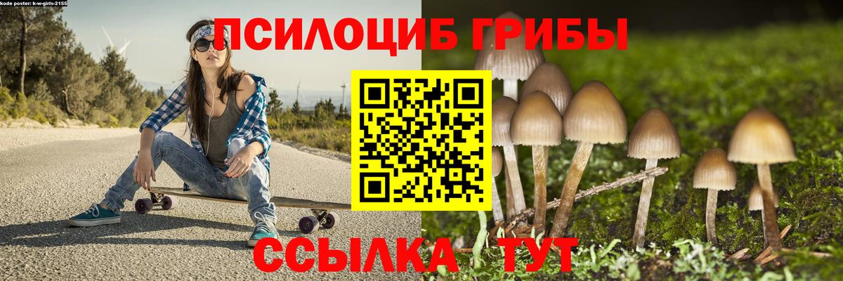 Псилоцибиновые грибы мухоморы  Галлюциногенные грибы MAGIC MUSHROOMS  Тосно  Вход с VPN 