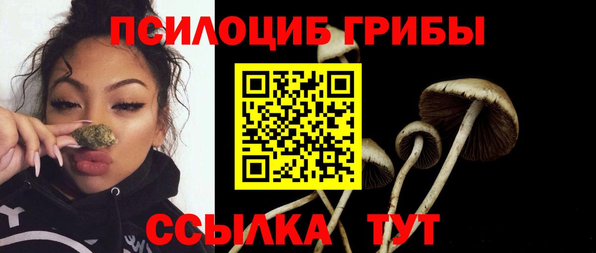 Псилоцибиновые грибы Psilocybine cubensis Тосно