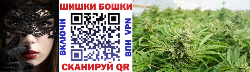 Конопля VHQ где можно купить Тосно